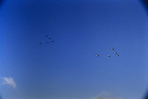 Aviation
