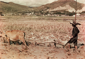 Agriculture and gardening